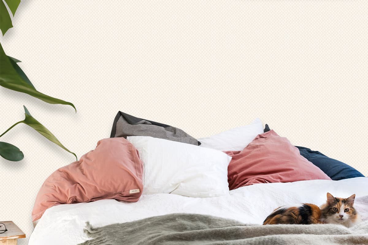 27715-1 ภาพห้อง